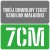 Szablon czcionka Big Shoulders Stencil 7cm