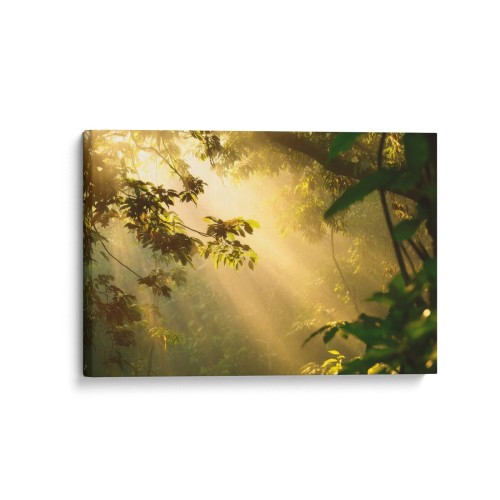 Obraz na płótnie canvas Słoneczny las realistyczny