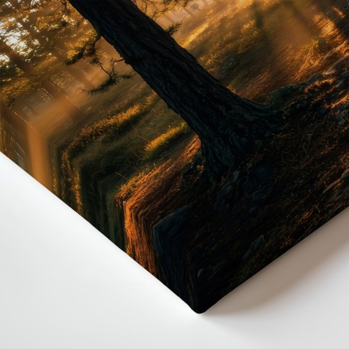 Obraz na płótnie canvas Sosnowy las o świcie realistyczny