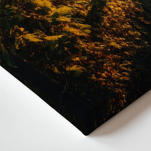Obraz na płótnie canvas Winnica o świcie realistyczny