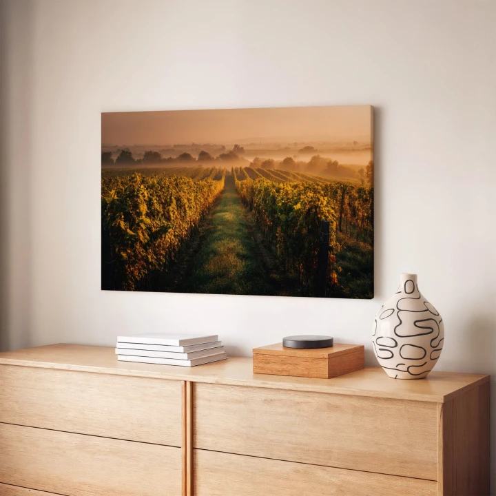 Obraz na płótnie canvas Winnica o świcie realistyczny