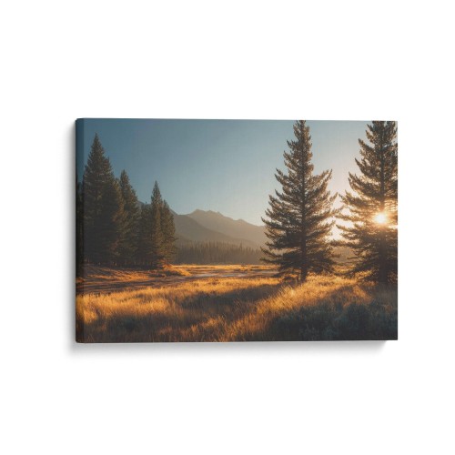 Obraz na płótnie canvas Sosny na polanie realistyczny