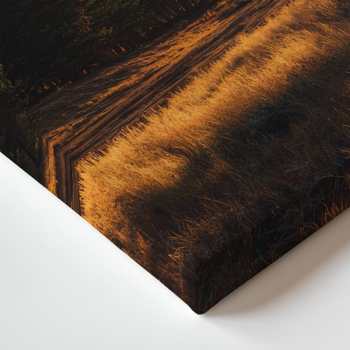 Obraz na płótnie canvas Sosny na polanie realistyczny