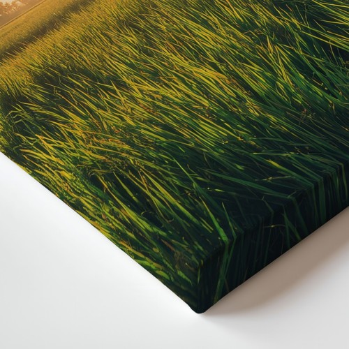 Obraz na płótnie canvas Pole ryżowe z palmami realistyczny
