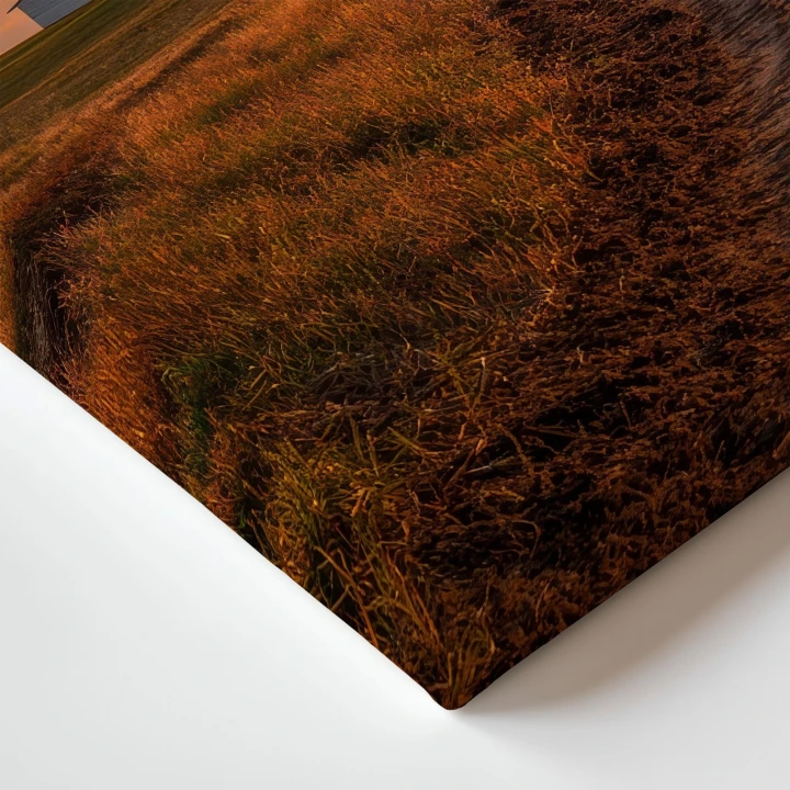Obraz na płótnie canvas Dom na farmie realistyczny