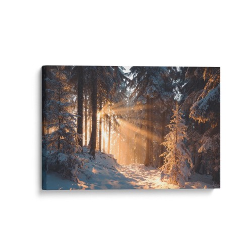 Obraz na płótnie canvas Zimowy las realistyczny
