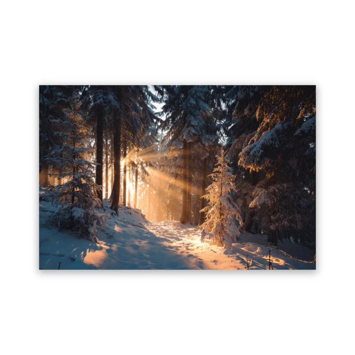 Obraz na płótnie canvas Zimowy las realistyczny