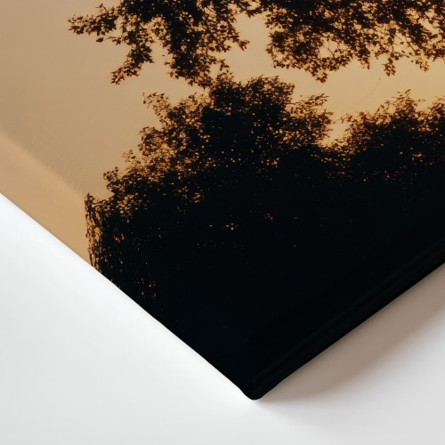 Obraz na płótnie canvas Drzewo zachód słońca realistyczny