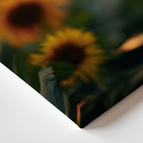 Obraz na płótnie canvas Słonecznik na polu realistyczny