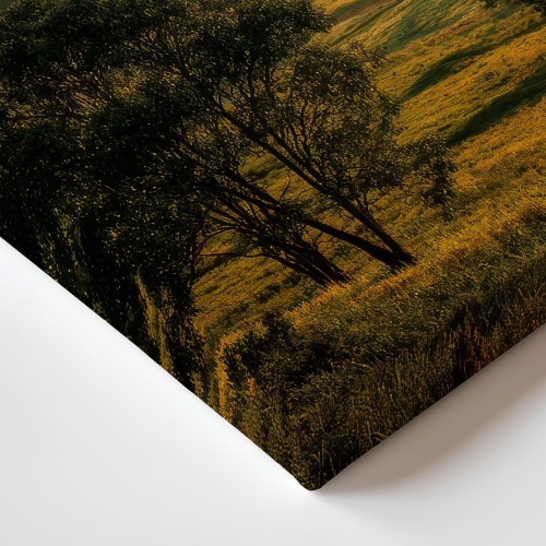 Obraz na płótnie canvas Pagórki we mgle realistyczny