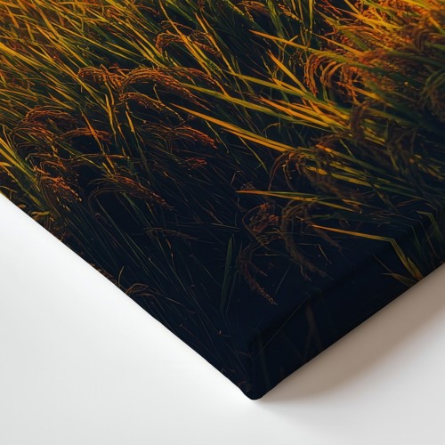 Obraz na płótnie canvas Złote kłosy zboża realistyczny