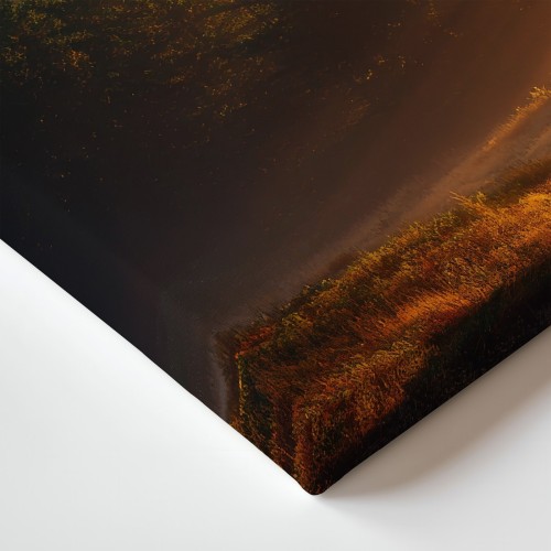 Obraz na płótnie canvas Sosny o świcie realistyczny