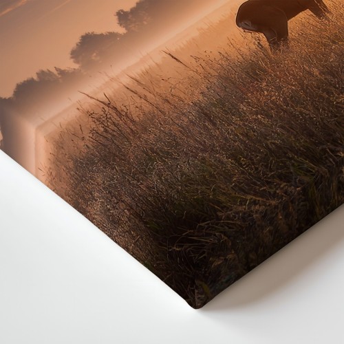 Obraz na płótnie canvas Sarna o świcie realistyczny