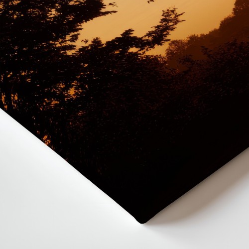 Obraz na płótnie canvas Drzewo o zmierzchu realistyczny