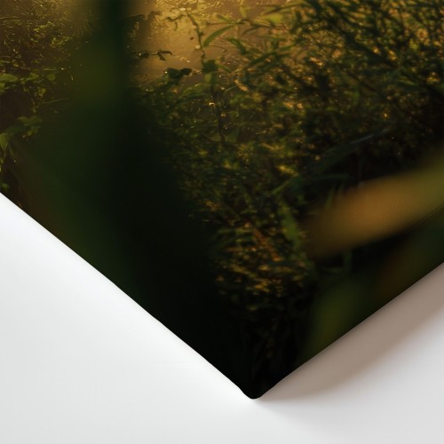 Obraz na płótnie canvas Złoty wschód słońca realistyczny