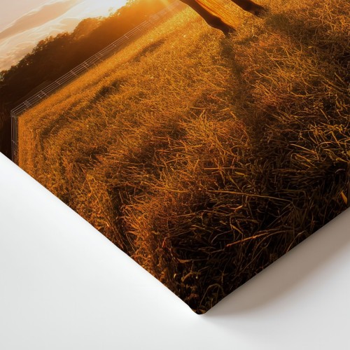 Obraz na płótnie canvas Koń na łące realistyczny