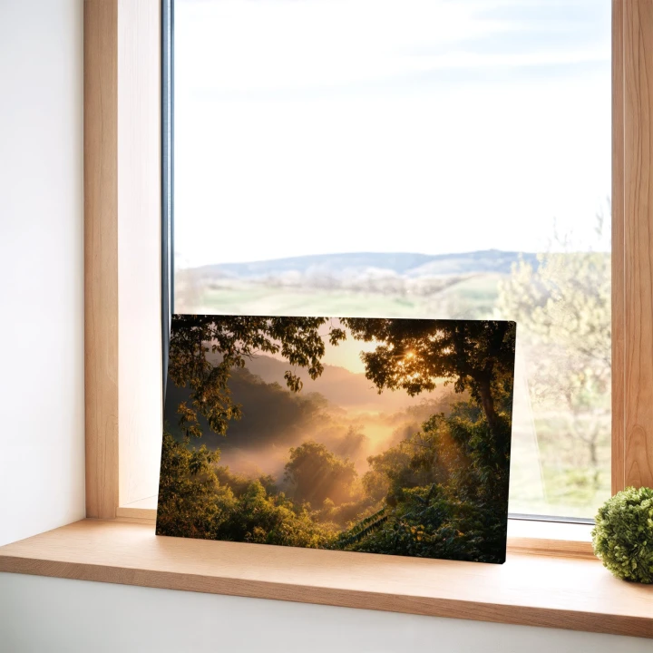 Obraz na płótnie canvas Mglisty las o poranku realistyczny