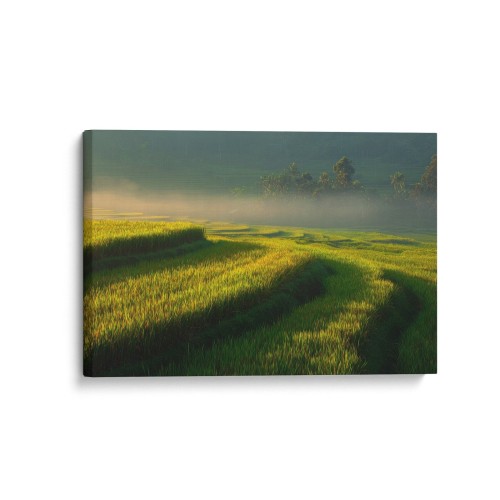 Obraz na płótnie canvas Tarasy ryżowe realistyczny