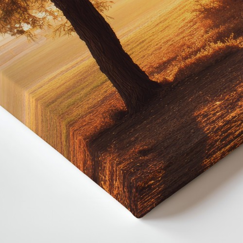 Obraz na płótnie canvas Aleja drzew realistyczny