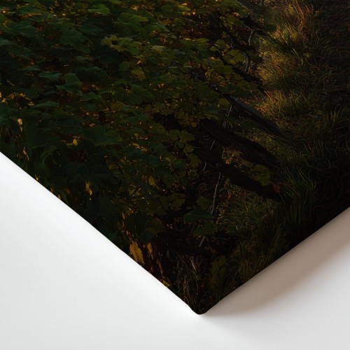 Obraz na płótnie canvas Winnica o świcie realistyczny