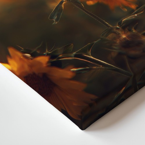 Obraz na płótnie canvas Słonecznik na polu realistyczny
