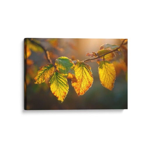 Obraz na płótnie canvas Jesienne liście realistyczny