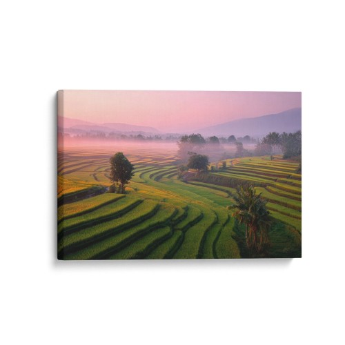 Obraz na płótnie canvas Tarasy ryżowe realistyczny
