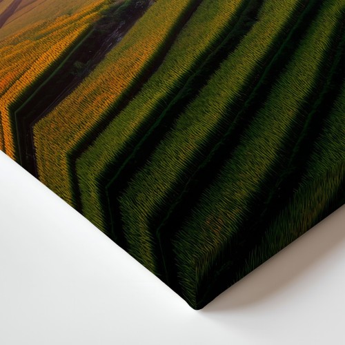 Obraz na płótnie canvas Tarasy ryżowe realistyczny