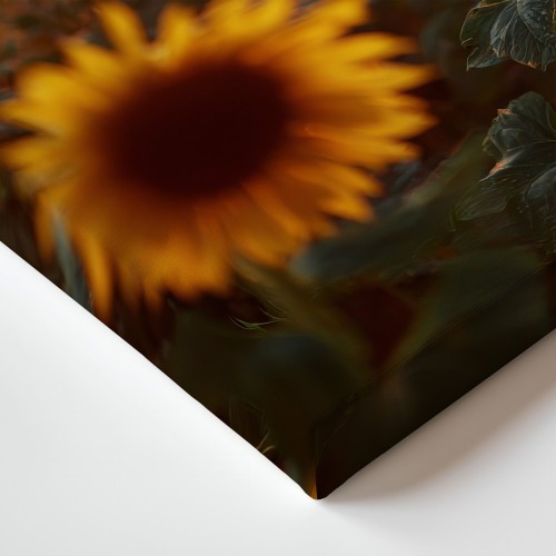 Obraz na płótnie canvas Pole słoneczników realistyczny