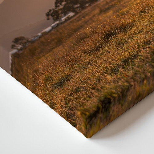 Obraz na płótnie canvas Koń na łące realistyczny