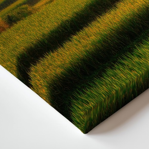 Obraz na płótnie canvas Tarasy ryżowe realistyczny