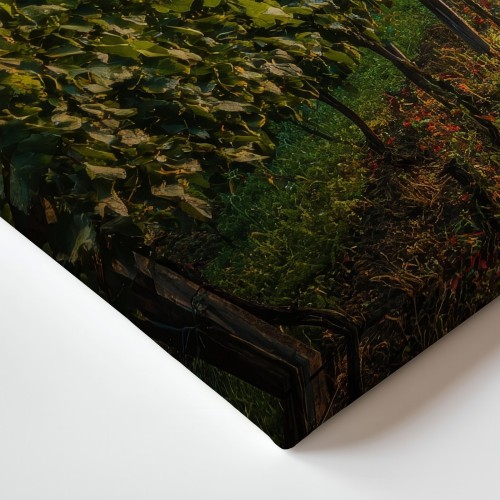 Obraz na płótnie canvas Winnica o poranku realistyczny