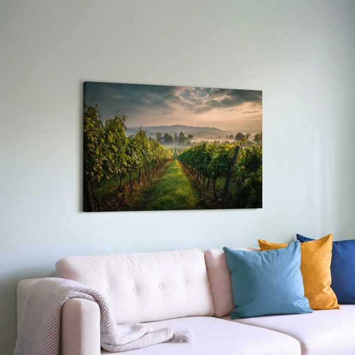 Obraz na płótnie canvas Winnica o poranku realistyczny