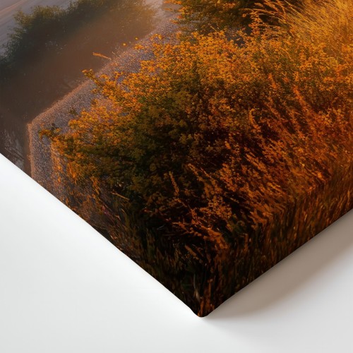 Obraz na płótnie canvas Polna droga o świcie realistyczny