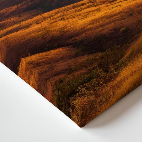 Obraz na płótnie canvas Złote wzgórza realistyczny