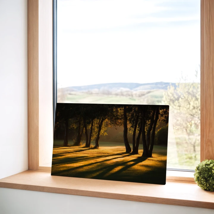 Obraz na płótnie canvas Złote światło na łące realistyczny
