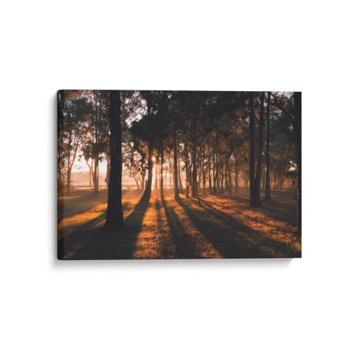 Obraz na płótnie canvas Las w świetle słońca realistyczny