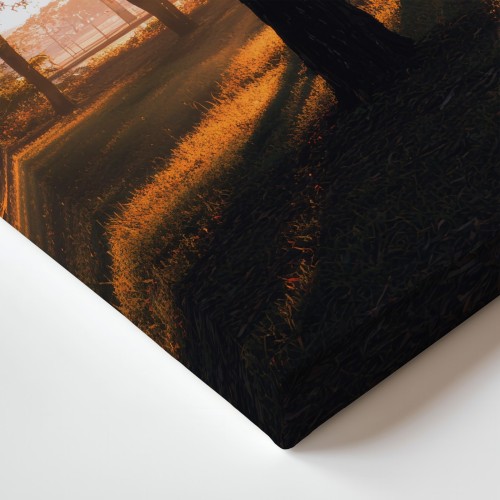 Obraz na płótnie canvas Las w świetle słońca realistyczny