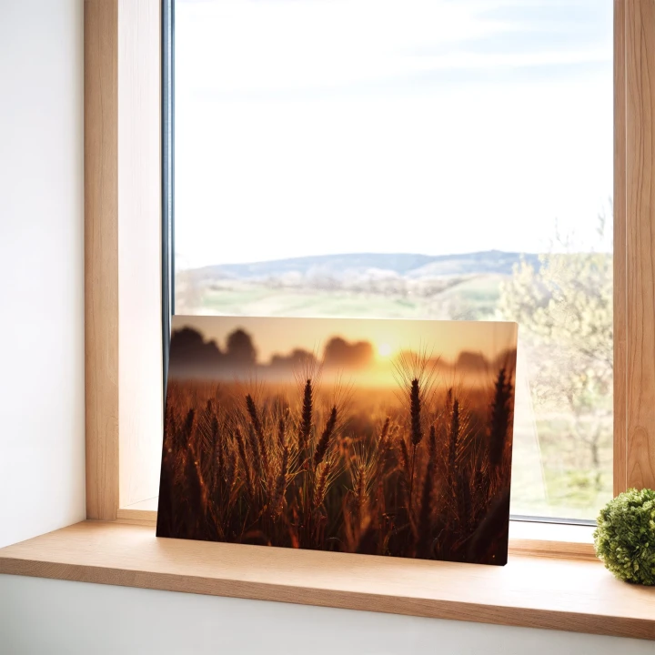 Obraz na płótnie canvas Złote kłosy pszenicy realistyczny