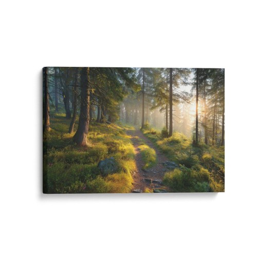 Obraz na płótnie canvas Leśna ścieżka rano realistyczny