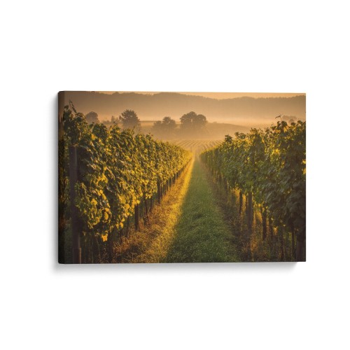 Obraz na płótnie canvas Złota winnica realistyczny