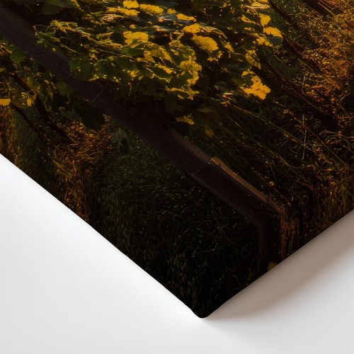 Obraz na płótnie canvas Złota winnica realistyczny