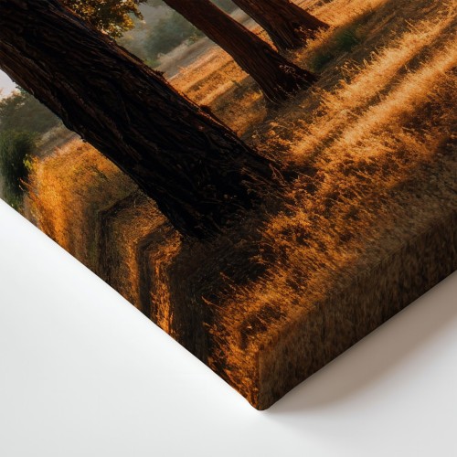 Obraz na płótnie canvas Rząd drzew o zachodzie realistyczny