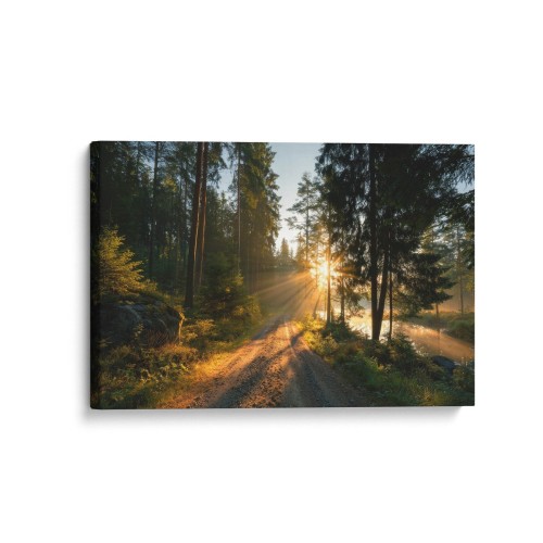 Obraz na płótnie canvas Leśna droga o świcie realistyczny