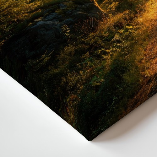 Obraz na płótnie canvas Leśna droga o świcie realistyczny