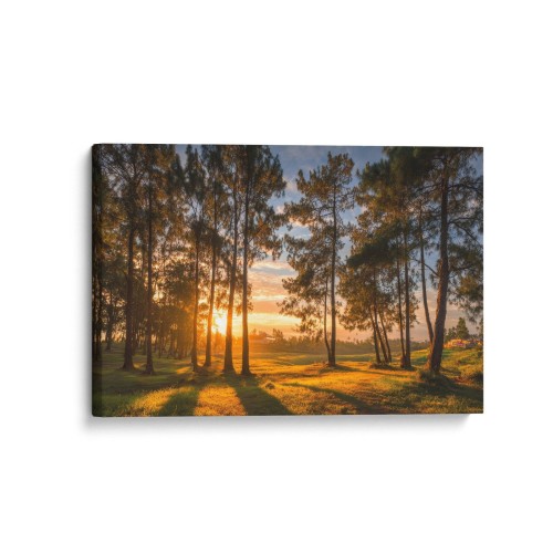 Obraz na płótnie canvas Zachód słońca w lesie realistyczny