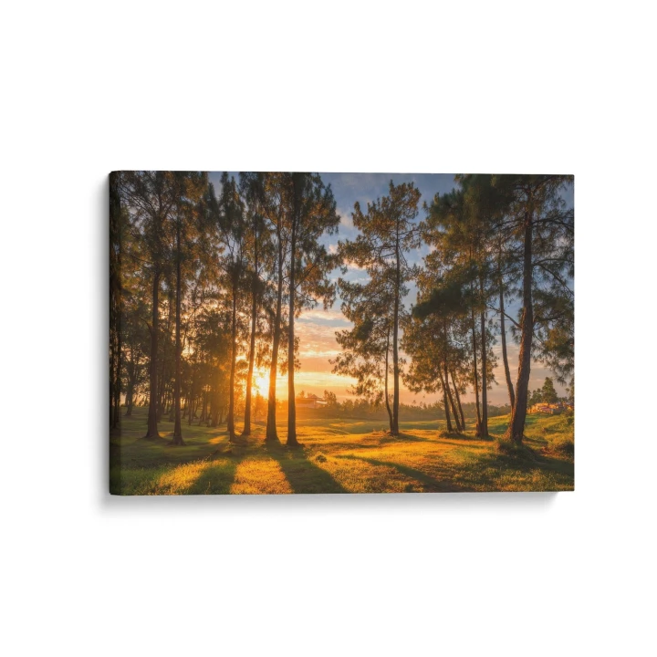 Obraz na płótnie canvas Zachód słońca w lesie realistyczny