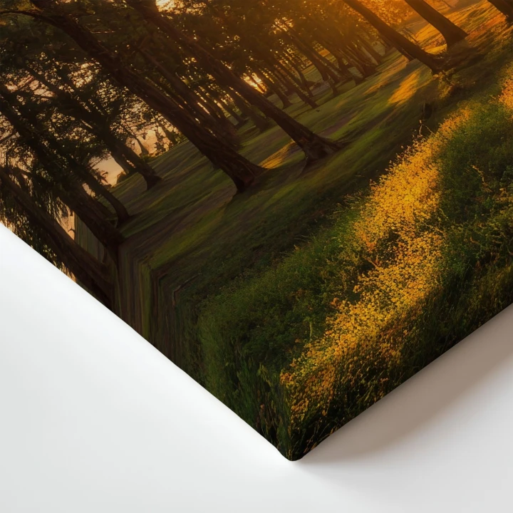 Obraz na płótnie canvas Zachód słońca w lesie realistyczny