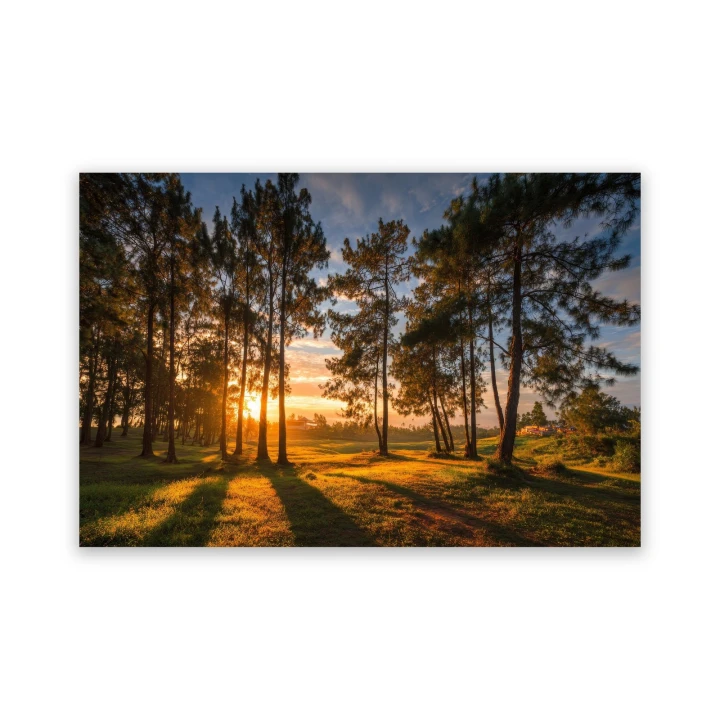 Obraz na płótnie canvas Zachód słońca w lesie realistyczny