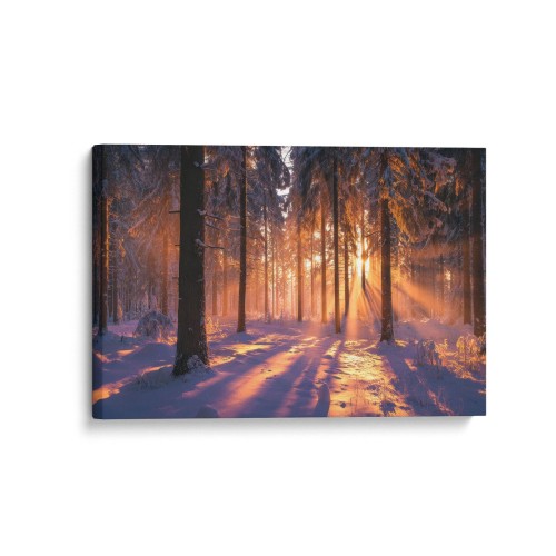 Obraz na płótnie canvas Zimowy las w słońcu realistyczny